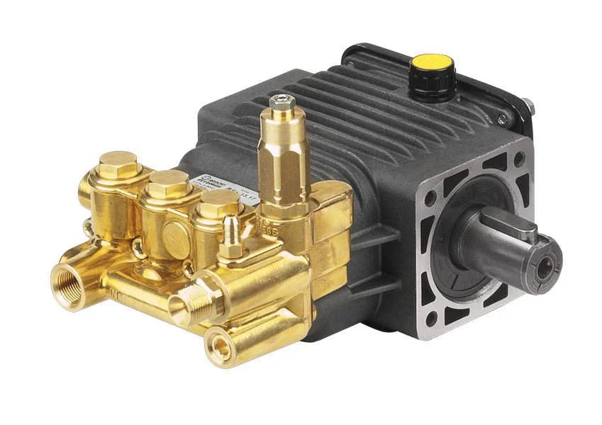 13 litre 170 bar rss 13.17 n cod. 23949 pompa annovi reverberi görseli